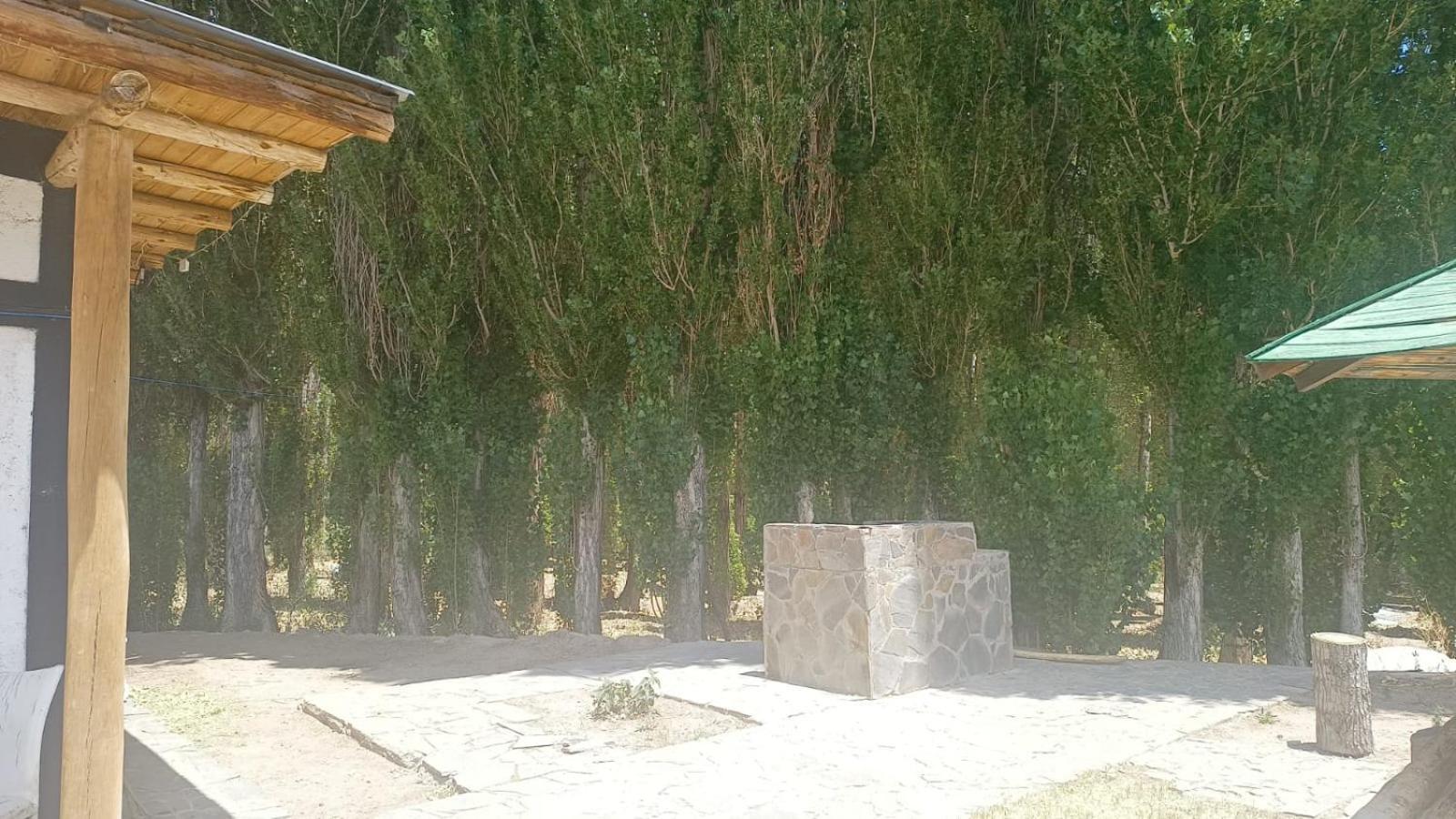 Cabanas De Los Andes Uspallata Extérieur photo